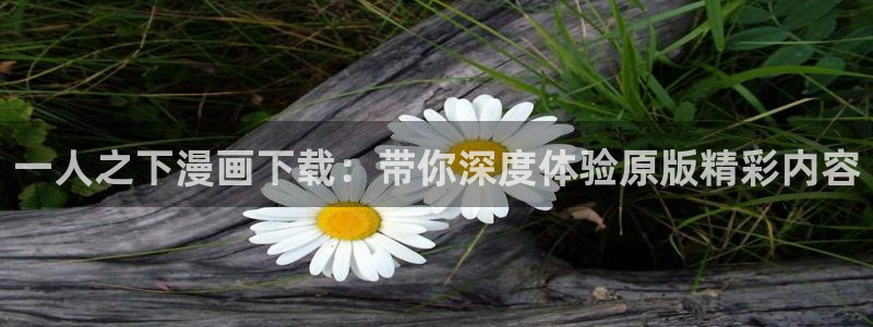 韩漫画软件免费：一人之下漫画下载：带你深度体验原版精彩内容