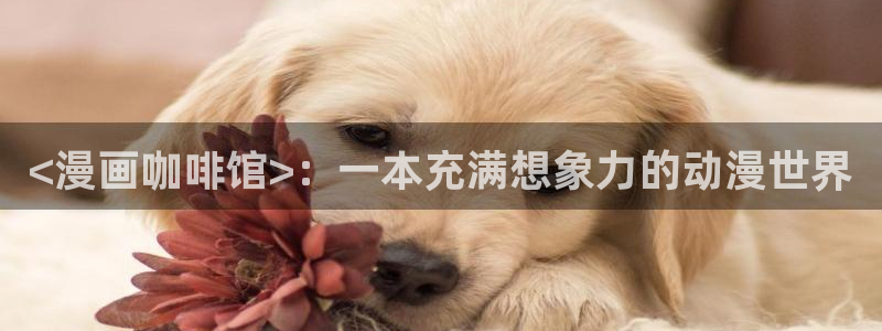 富家姐姐韩漫漫画全集：<漫画咖啡馆>：一本充满想象力的动漫世界