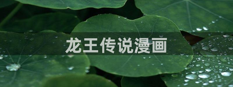 韩漫画之家：龙王传说漫画