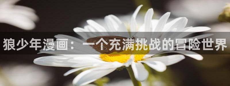 韩漫漫画app：狼少年漫画：一个充满挑战的冒险世界