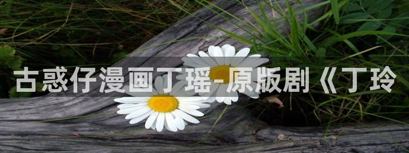 韩漫嗟嗟嗟漫画免费阅读：古惑仔漫画丁瑶-原版剧《丁玲