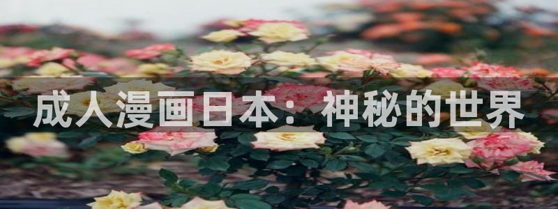 免费韩漫漫画推荐：成人漫画日本：神秘的世界