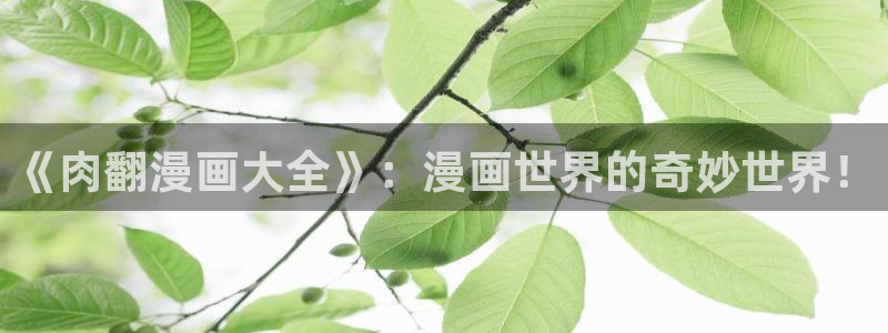 漫蛙2韩漫正版下载：《肉翻漫画大全》：漫画世界的奇妙世界！