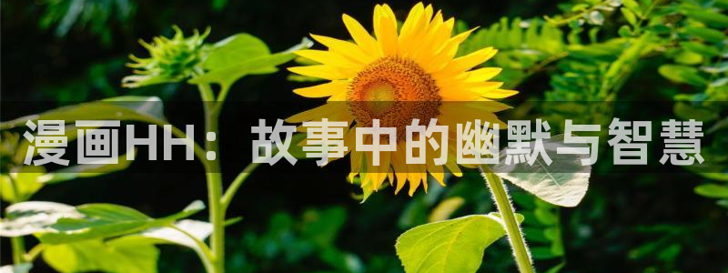 韩漫污免费网站：漫画HH：故事中的幽默与智慧