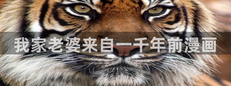 漫画在线看免费韩漫：我家老婆来自一千年前漫画