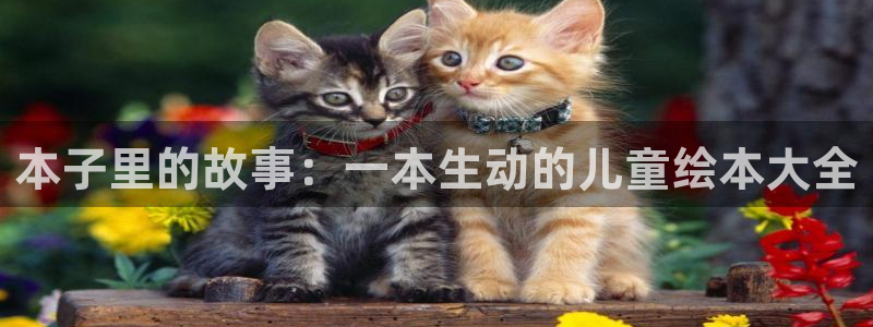 韩漫歪歪漫画免费网站：本子里的故事：一本生动的儿童绘本大全