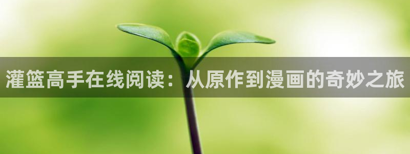韩漫大全漫画网下拉式免费：灌篮高手在线阅读：从原作到漫画的奇妙之旅
