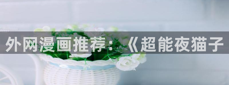 setup排球少女韩漫在线看：外网漫画推荐：《超能夜猫子